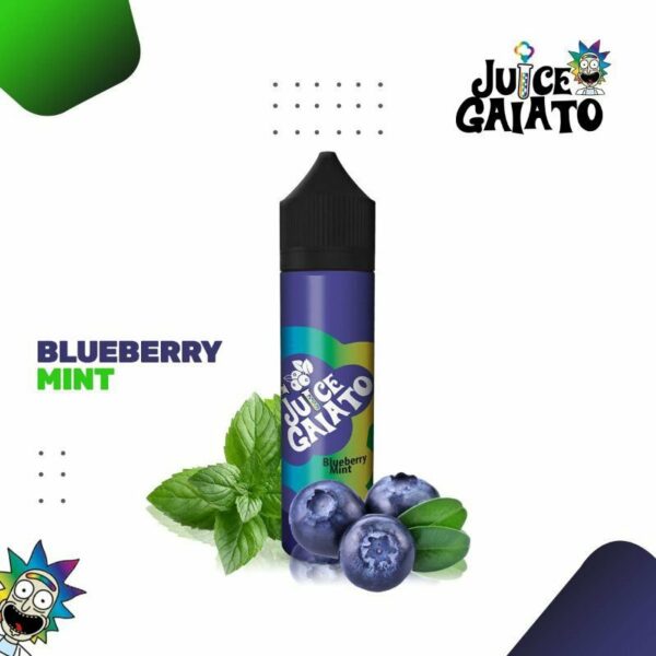 LÍQUIDO BLUEBERRY MINT - JUICE GAIATO