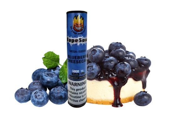 POD DESCARTÁVEL 5% NICSALT MEGA 5000 PUFFS C/ AJUSTE DE AIR FLOW - BLUEBERRY CHEESCAKE - VAPESOUL