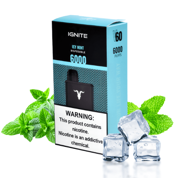 POD DESCARTÁVEL V60 5% 6000 PUFFS - ICY MINT- IGNITE