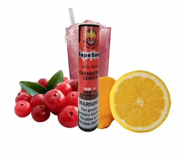 POD DESCARTÁVEL 5% NICSALT MEGA 5000 PUFFS C/ AJUSTE DE AIR FLOW - CRANBERRY LEMON - VAPESOUL