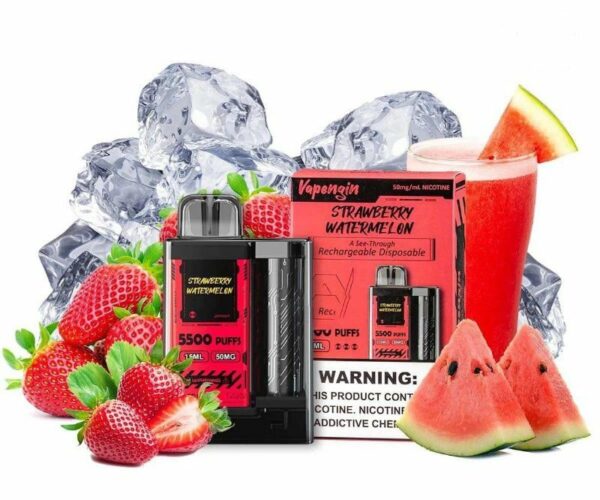 POD DESCARTÁVEL 5500 PUFFS - STRAWBERRY WATERMELON - VAPENGIN