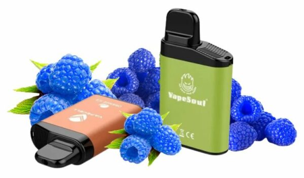 POD DESCARTÁVEL 5% NICSALT V-MAX 3500 PUFFS - BLUE RASPEBERRY - VAPESOUL
