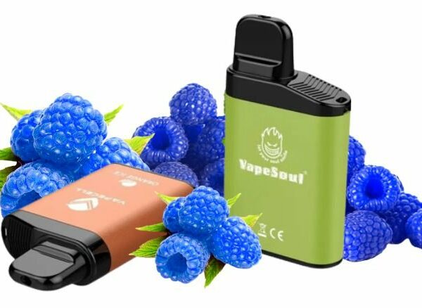 POD DESCARTÁVEL 5% NICSALT V-MAX 3500 PUFFS - BLUE RASPEBERRY - VAPESOUL