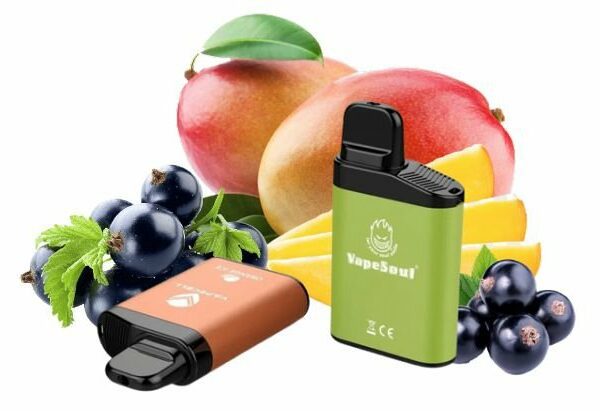 POD DESCARTÁVEL 5% NICSALT V-MAX 3500 PUFFS - MANGO BLACKCURRANT - VAPESOUL
