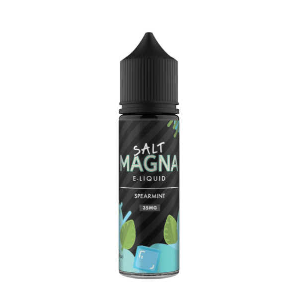LÍQUIDO SPEARMINT - NICSALT - MAGNA - Imagem 2