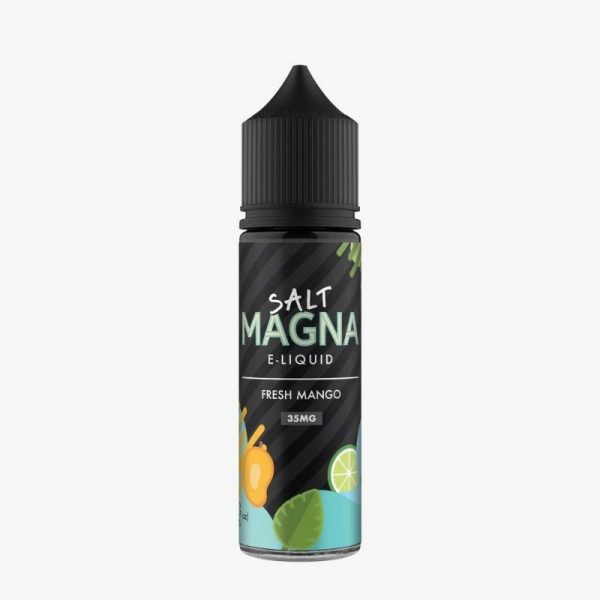 LÍQUIDO FRESH MANGO MINT - NICSALT - MAGNA - Imagem 2