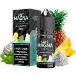 LÍQUIDO ANANAS MINTY - NICSALT – MAGNA