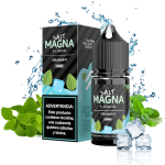 LÍQUIDO SPEARMINT - NICSALT - MAGNA