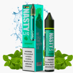 LÍQUIDO NICSALT SPEARMINT - NASTY LIQ