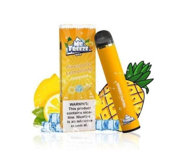 POD DESCARTÁVEL MR FREEZE MAX 5% NICSALT 2000 PUFFS 7ML  - MR FREEZE - Imagem 3