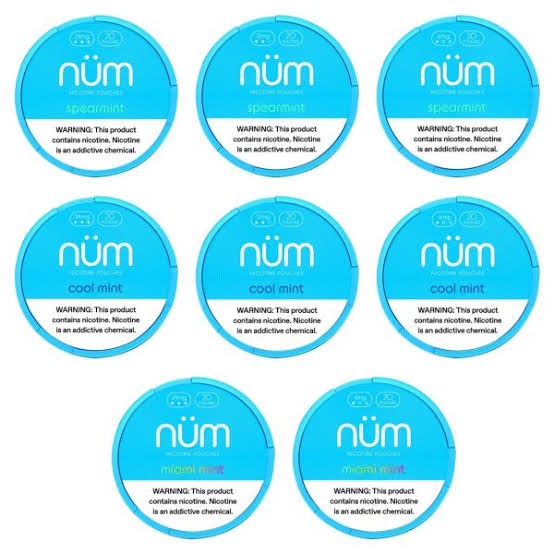 POUCHES DE NICOTINA NUM 6MG/12MG/ 24MG - NUM.jpg POUCHES DE NICOTINA NUM 6MG/12MG/ 24MG - NUM